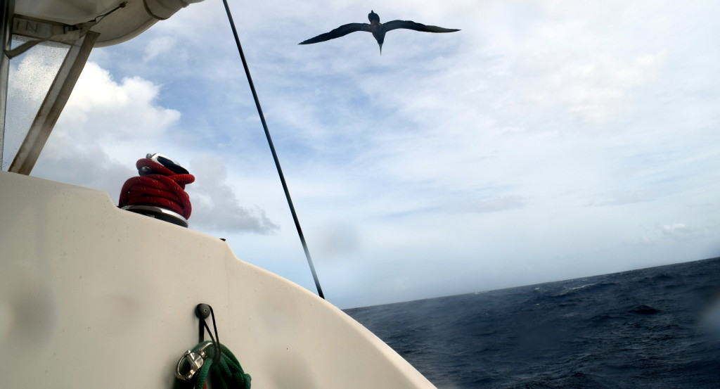 Dominica Canal